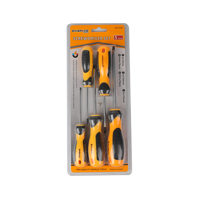 5pcs Slotted & Phillips Set Screwdriver